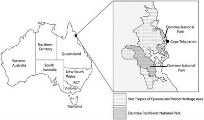 Dynamics of Charcoal Alteration in a Tropical Biome: A Biochar-Based Study